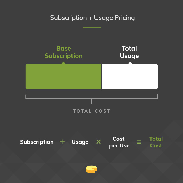 Subscription + Usage Pricing